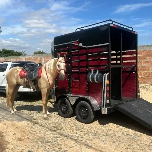 Carretinha para Cavalo, foto 2