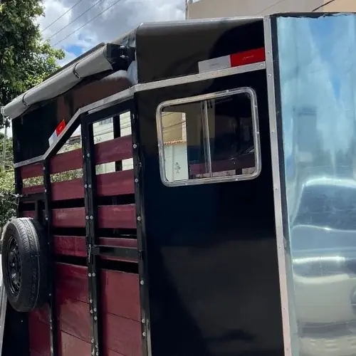 Carretinha para Cavalo com Toldo, foto 2