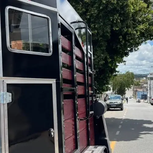 Carretinha para Cavalo com Toldo, foto 5